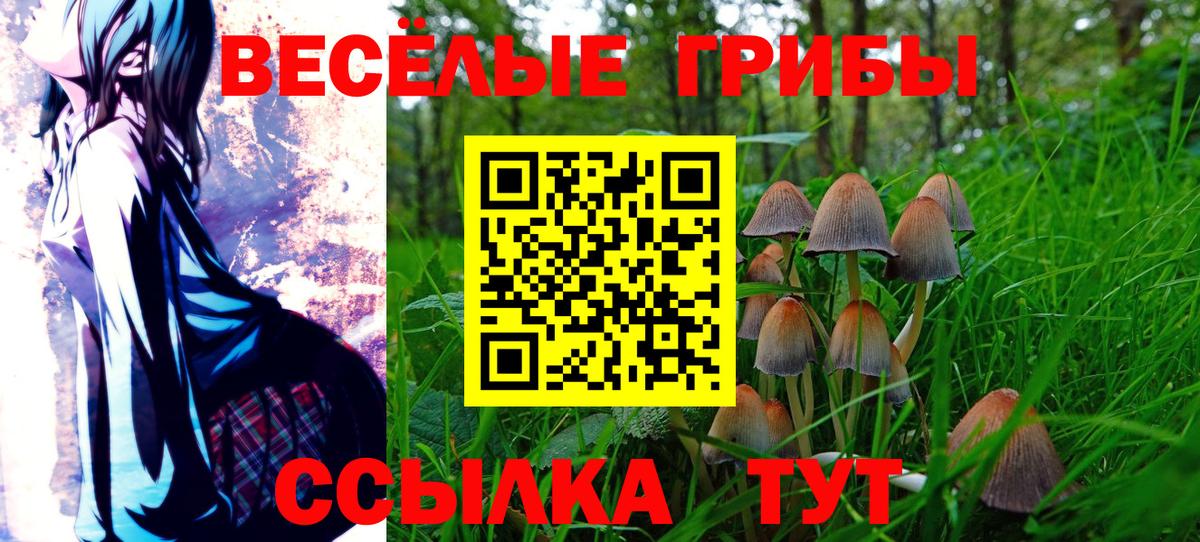 Псилоцибиновые грибы прущие грибы Подольск