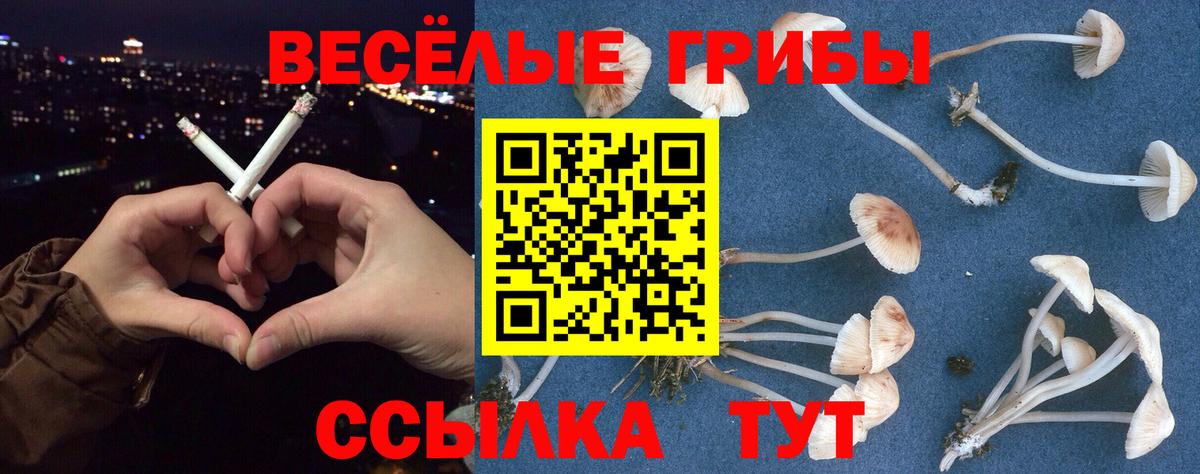 Подольск  Псилоцибиновые грибы Magic Shrooms  Вход с VPN 